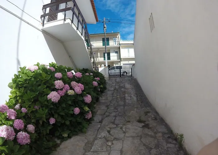 Дом отдыха Stella's House *