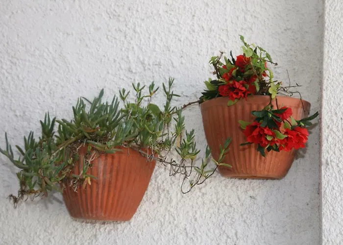 Дом отдыха Stella's House